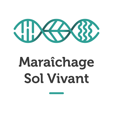 Maraîchage sol vivant